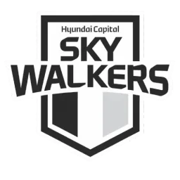 Hyundai Skywalker